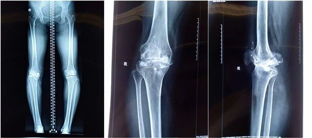 20190310_233307_647378.jpg 11111111.jpg