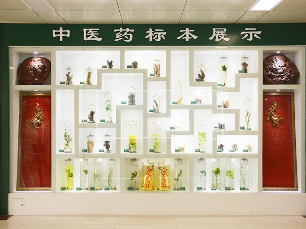 中医药标本展示