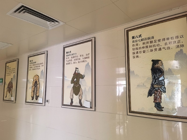 中药叶画八段锦